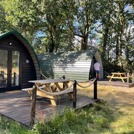 Nightjar Cabin At Cloudshill Glade Wareham Exterior foto